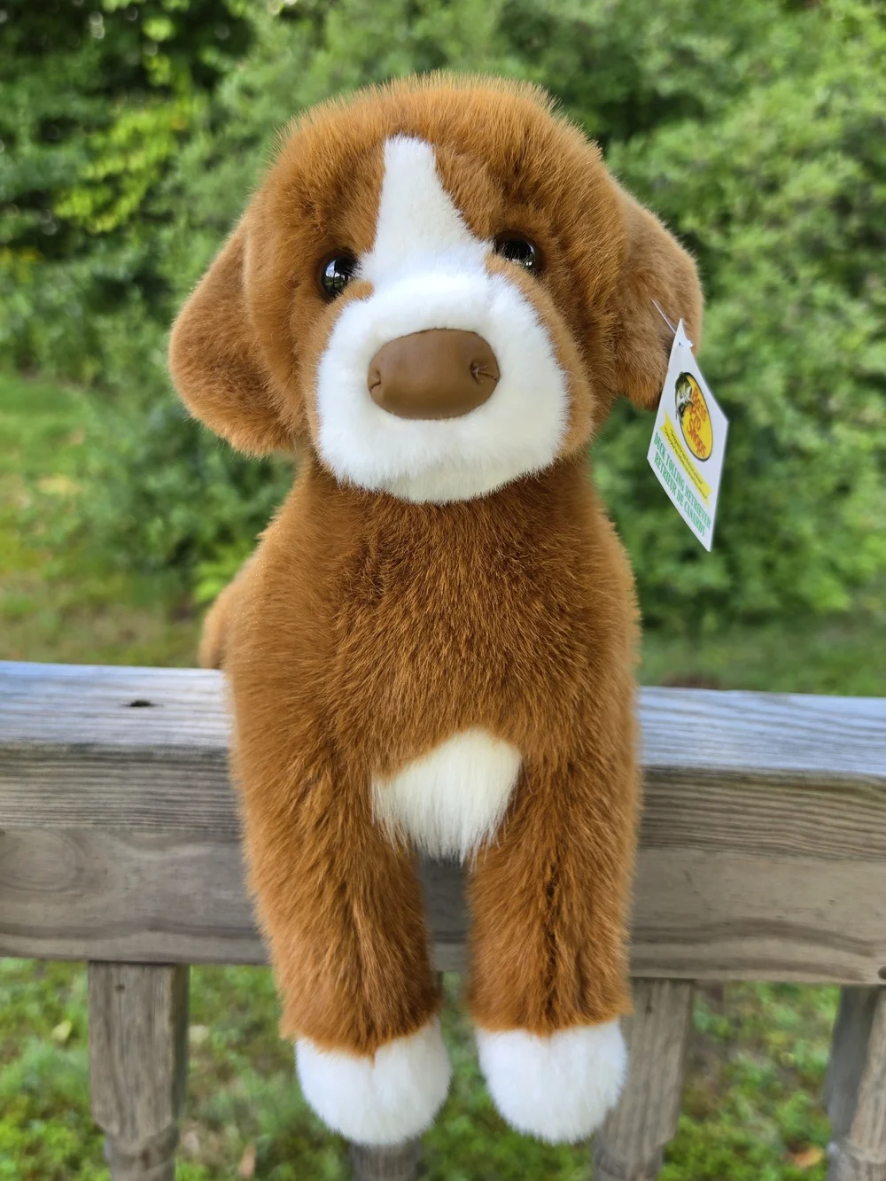 Bass Pro Shops Duck Tolling Retriever Stuffed Dog By Douglas
